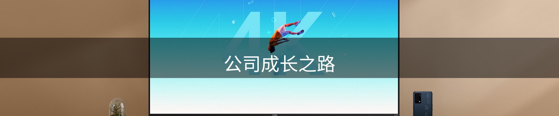 公司成长之路